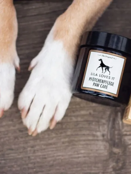 Baume coussinets pour chien - Apaise et protège