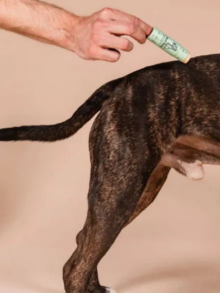 Baume pour chien - Réparateur et protecteur pour la peau - Butchcare