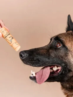 Baume pour chien - Réparateur et protecteur pour la truffe - Butchcare