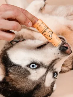 Baume pour chien - Réparateur et protecteur pour la truffe - Butchcare