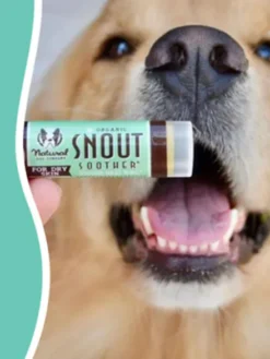 Baume pour chien - Réparation et protection de la truffe - Natural Dog Company