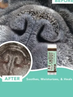 Baume pour chien - Réparation et protection de la truffe - Natural Dog Company