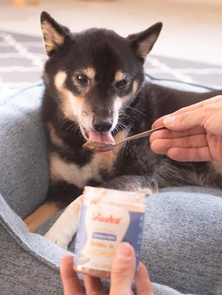 Beurre de cacahuète pour chien - Myrtille 🫐 et Fraise 🍓 - inooko
