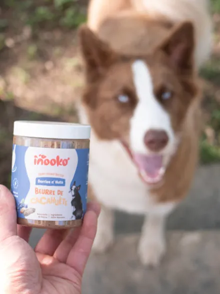 Beurre de cacahuète pour chien - Myrtille 🫐 et Fraise 🍓 - inooko