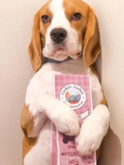 Biscuits Antioxydants pour chien - Pâté de foie - Cooka's Cookies