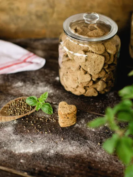 Biscuits Artisanaux pour chien - Poulet et Carottes - Cooka's Cookies