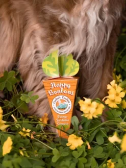 Biscuits de pâques pour chien - Happy Bonbon 🥕 - Cooka's Cookies