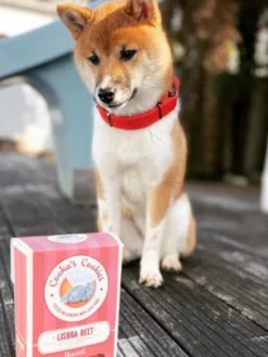 Biscuits Detox pour chien - Quinoa et Betterave - Cooka's Cookies