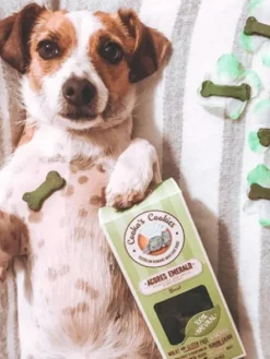 Biscuits Digestion pour chien - Spiruline et Pomme - Cooka's Cookies