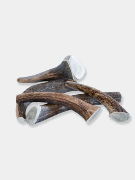 Bois de cerf à mâcher naturel pour chien