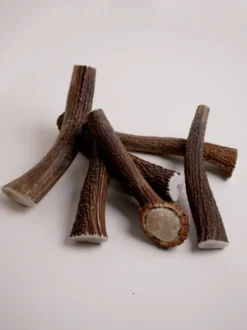 Bois de cerf à mâcher naturel pour chien
