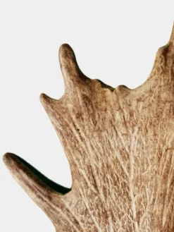 Bois de daim à mâcher naturel pour chien