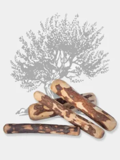 Bois d'olivier à mâcher naturel pour chien