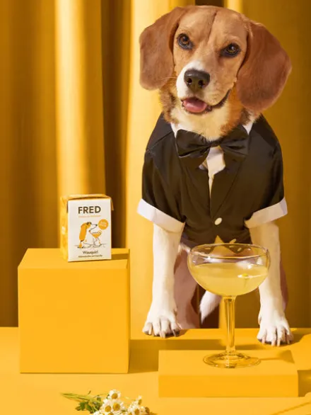 Bouillon pour chien - Poulet 🐓 et Camomille - Fred & Felia
