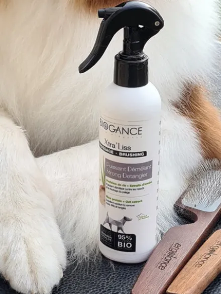 Brosse carde pour chiens et chats - Biogance