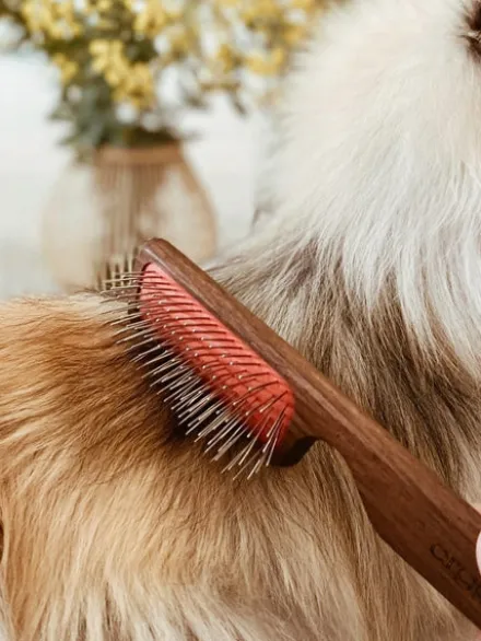 Brosse démêlante pour chiens et chats - Biogance