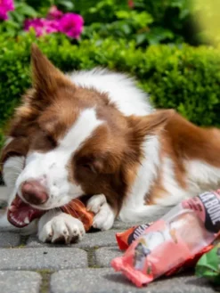 Bâton de fromage à mâcher - Beurre de cacahuète 🥜🧀 - Laika Bone