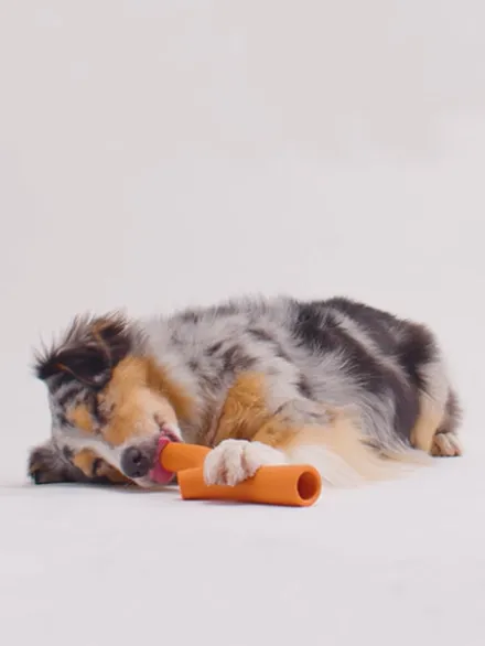 Bâton en caoutchouc pour chien - Super Stick Orange - Beco