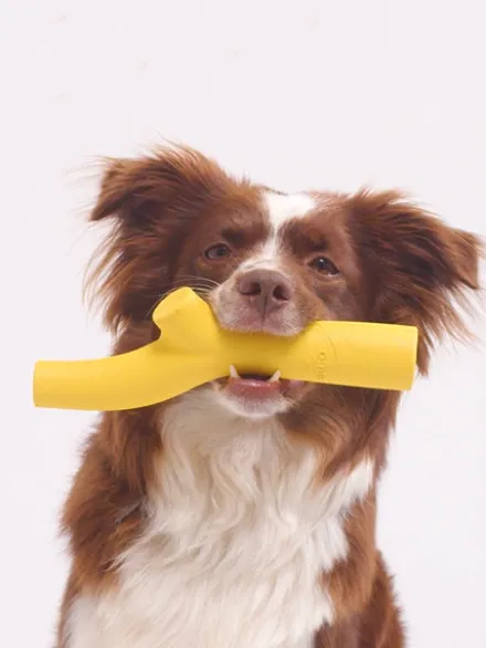 Bâton en caoutchouc pour chien - Super Stick Jaune - Beco