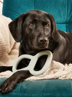 Bâton en caoutchouc pour chien - Tugger Vert - Beco