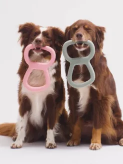 Bâton en caoutchouc pour chien - Tugger Rose - Beco