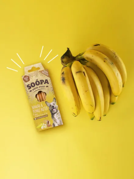 Bâtonnets à mâcher pour chien - Banane et Beurre de cacahuète