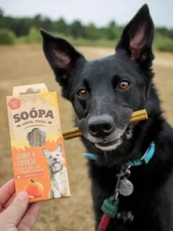 Bâtonnets à mâcher pour chien - Carotte et Citrouille