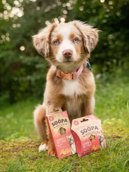 Bâtonnets à mâcher pour chien - Cranberry et Patate douce
