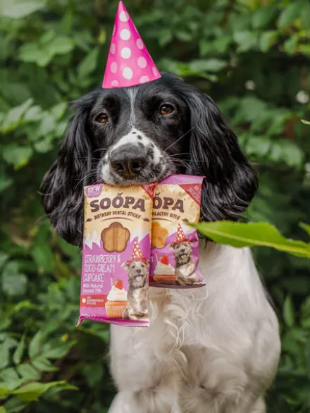 Bâtonnets à mâcher pour chien - Cupcake Coco et Fraise 🧁🥥🍓 - Soopa