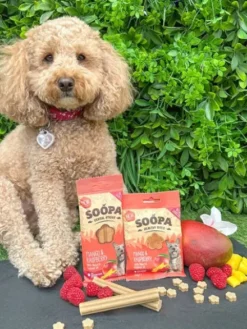 Bâtonnets à mâcher pour chien - Mangue 🥭 et Framboise - Soopa