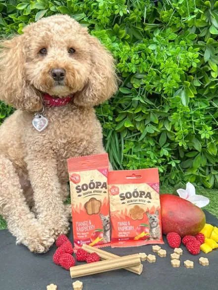 Bâtonnets à mâcher pour chien - Mangue 🥭 et Framboise - Soopa