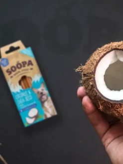 Bâtonnets à mâcher pour chien - Noix de Coco et Graines de Chia