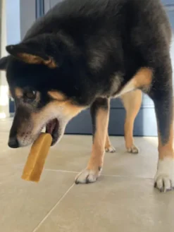 Bâtons de Fromage de Yak à mâcher pour chien - Taille S