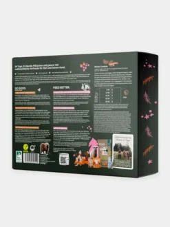 Calendrier de l’Avent VEGDOG 2026 pour chien | Friandises vegan