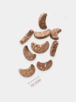 Calendrier de l’Avent VEGDOG 2026 pour chien | Friandises vegan