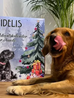 Calendrier de l'avent XL pour chien - 55 friandises - Fidelis