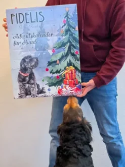 Calendrier de l'avent XL pour chien - 55 friandises - Fidelis