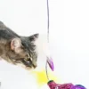 Canne à pêche pour chat - Aubergine 🍆 - Pet PLAY