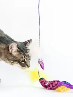 Canne à pêche pour chat - Aubergine 🍆 - Pet PLAY