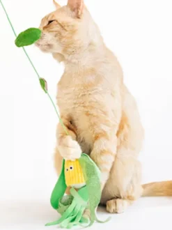 Canne à pêche pour chat - Maïs 🌽 - Pet PLAY