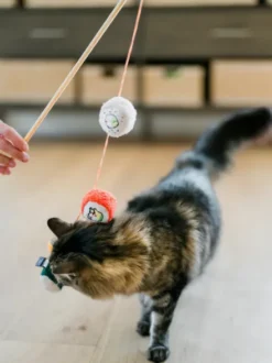Canne à pêche pour chat - Sushi 🍣 - Pet PLAY