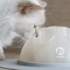 Cat Igloo - Jouet interactif pour Chat - Gris