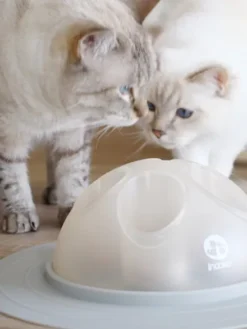 Cat Igloo - Jouet interactif pour Chat - Gris