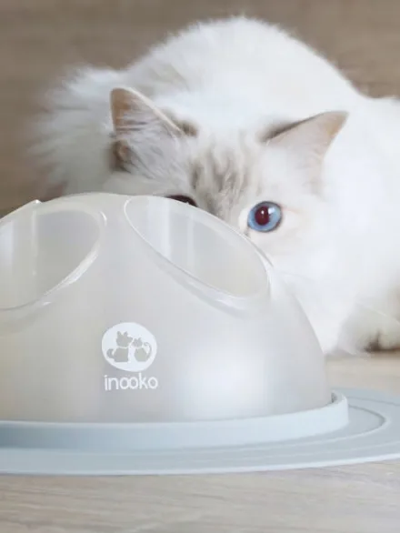 Cat Igloo - Jouet interactif pour Chat - Gris