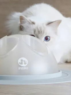 Cat Igloo - Jouet interactif pour Chat - Rose pastel