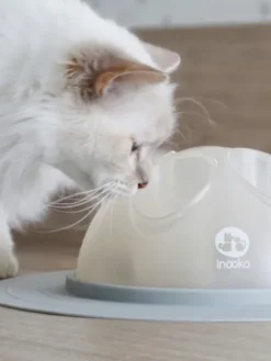 Cat Igloo - Jouet interactif pour Chat - Rose pastel