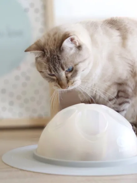 Cat Igloo - Jouet interactif pour Chat - Rose pastel