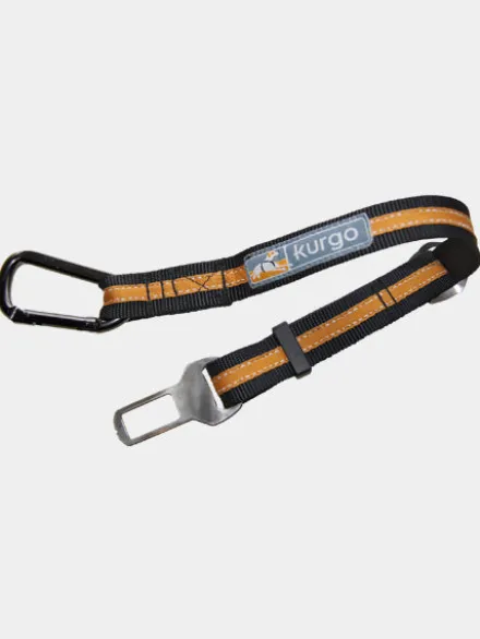 Ceinture de sécurité pour chien - Orange