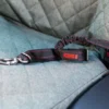 Ceinture de sécurité pour chien - Kong