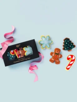 Coffret de Minis Peluches de Noël pour chien ❄️🎄 - The Foggy Dog